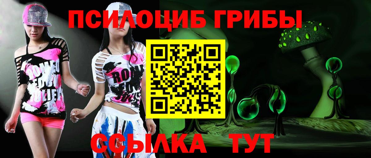 Псилоцибиновые грибы GOLDEN TEACHER Карпинск